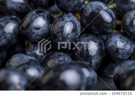 washed ripe black grapes covered with drops of water washed ripe black grapes covered with drops of water 104678518