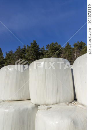 plastic packaging on mown hay for long-term storage 104678519