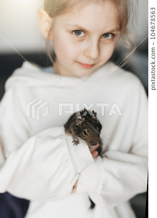 Little girl playing with small animal degu squirrel. 104678563