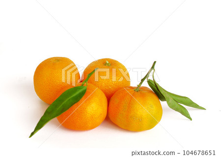 Italian Mandarin Orange Clementina with Leaves Italian Mandarin Orange Clementina with Leaves 104678651