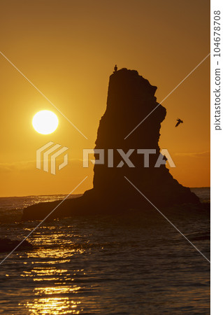 Futamigaura Asahi and Cormorants Futamigaura Asahi and Cormorants 104678708