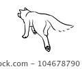 讓秋田犬保持白色 104678790