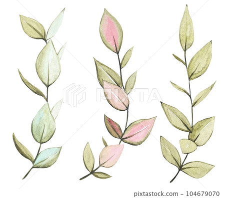 Set of dry branches of eucalyptus in watercolor 104679070