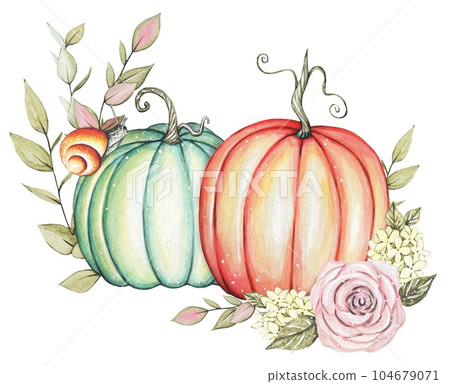 Pumpkins, autumn leaves and flowers. Watercolor - Stock Illustration ...