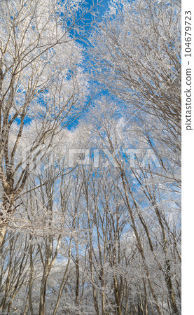 冬天的風景，白霜 104679723