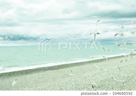 The picturesque coast of the Black Sea, the concept of sea travel and vacation. 104680592