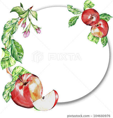 watercolor set. a red, juicy, ripe apple. for the design of postcards, packages 104680976