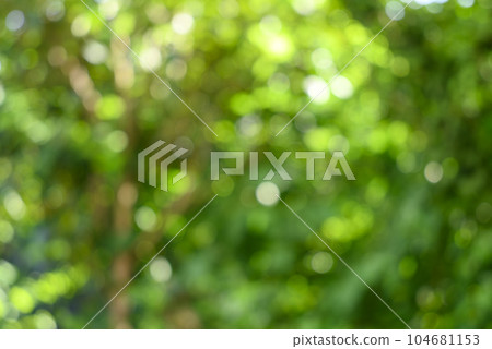 Green ball bokeh texture material 104681153