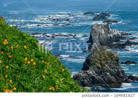 Early summer scenery with yellow flowers at Cape Erimo in Hokkaido Early summer scenery with yellow flowers at Cape Erimo in Hokkaido 104681927