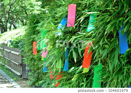 七夕 七夕 104681979