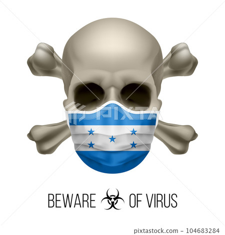 Human Skull 104683284