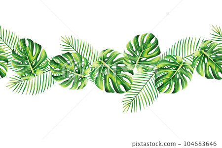 Watercolor seamless border with realistic tropical leafs. Illustration of monstera, caladium , ficus leafs isolated on white background. Beautiful botanical hand painted floral elements. For Watercolor seamless border with realistic tropical leafs. Illustration of monstera, caladium , ficus leafs isolated on white background. Beautiful botanical hand painted floral elements. For 104683646