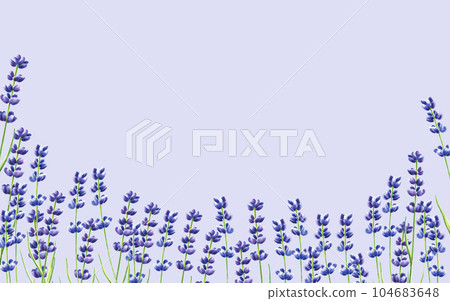 Watercolor banner with lavender illustration isolated on white background. Detail of beauty products and botany set, cosmetology and medicine. For designers, spa decoration, postcards, wrapping paper, Watercolor banner with lavender illustration isolated on white background. Detail of beauty products and botany set, cosmetology and medicine. For designers, spa decoration, postcards, wrapping paper, 104683648