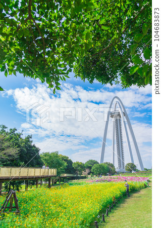 138 Tower Park 盛開的大波斯菊<愛知縣一宮市> 138 Tower Park 盛開的大波斯菊<愛知縣一宮市> 104683873