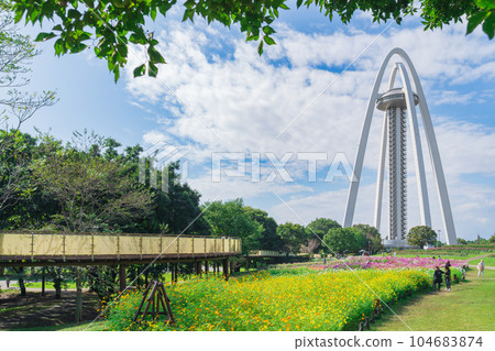138 Tower Park, Cosmos in full bloom <Ichinomiya City, Aichi Prefecture> 104683874