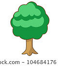 lush broadleaf trees 104684176