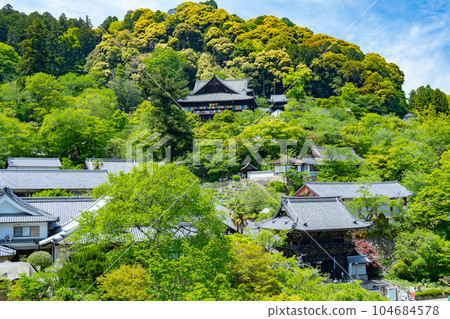 Sakurai City, Nara Prefecture Hasedera in the midst of greenery Sakurai City, Nara Prefecture Hasedera in the midst of greenery 104684578