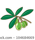 green olives 104684669