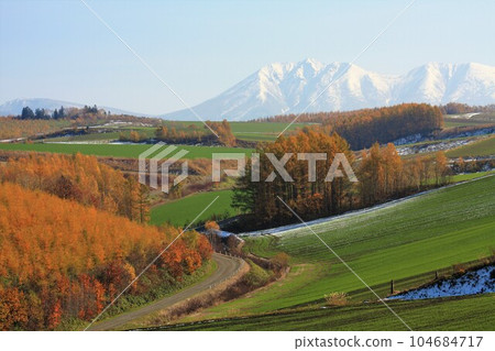 秋葉山和雪帽 104684717