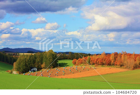 秋葉風景 秋葉風景 104684720