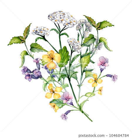 Nettle and wild discount achillea