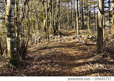 The summit of Kayano Sawayama on the northeast ridge of Mt. Goseitai in the Doshi massif 104685757
