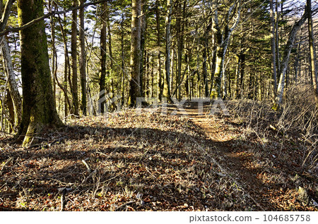 The summit of Kayano Sawayama on the northeast ridge of Mt. Goseitai in the Doshi massif The summit of Kayano Sawayama on the northeast ridge of Mt. Goseitai in the Doshi massif 104685758