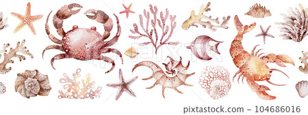 marine seamless border of underwater marine animals and plants octopus, seahorses, crabs, starfish, jellyfish. Marine inhabitants of the underwater world. Sea border isolated on white background marine seamless border of underwater marine animals and plants octopus, seahorses, crabs, starfish, jellyfish. Marine inhabitants of the underwater world. Sea border isolated on white background 104686016