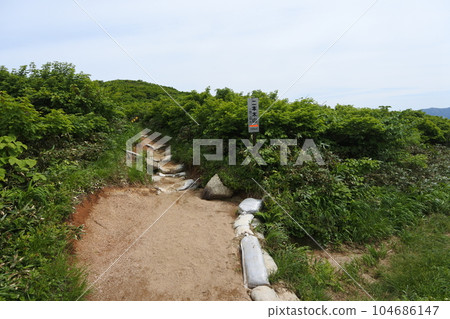 Ninojidake 104686147