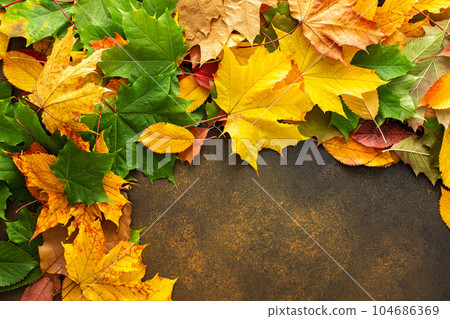 Autumn background with fallen leaves Autumn background with fallen leaves 104686369