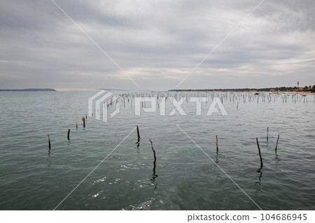 Cruise on the Bassin d'Arcachon in cloudy weather 104686945