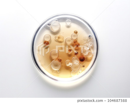 Bacteria AI-generated image Generative AI 104687388