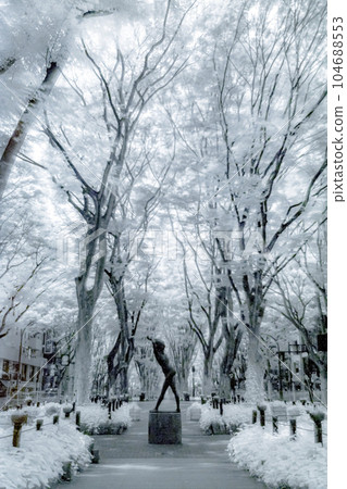 仙台定禪寺街_2023_紅外照片 104688553