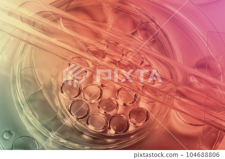 Chemical laboratory research. Abstract cosmetic laboratory. Glass model of molecules. Chemical laboratory research. Abstract cosmetic laboratory. Glass model of molecules. 104688806