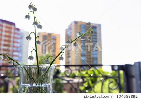 Lily of the valley, white flowers in a glass, close up photo Lily of the valley, white flowers in a glass, close up photo 104688892