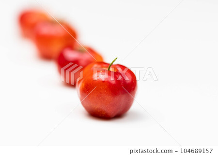 鮮紅色針葉虎 104689157