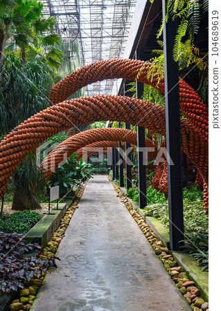 Plants and flowers of sky garden 104689619