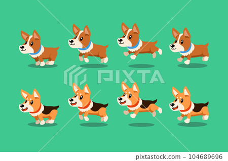 Vector cartoon character corgi dog running step 104689696