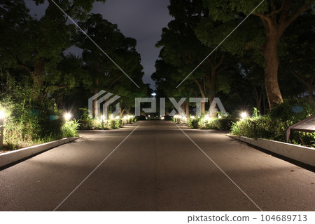 東京有明網球森林公園的夜景 104689713
