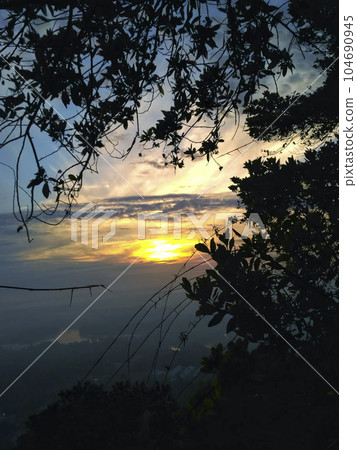 soft focus Forest view. Green color tree, green leaves in the spring garden. beautiful view. Sun in the blue sky. Beautiful sunny day, wide banner, beautiful view. 104690945
