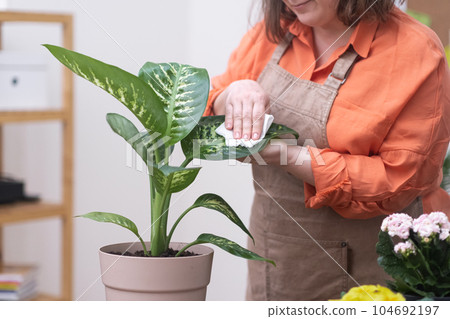Embrace the beauty of nature by engaging in home gardening, where you can learn to care for plants and watch them flourish with your love and attention. Embrace the beauty of nature by engaging in home gardening, where you can learn to care for plants and watch them flourish with your love and attention. 104692197