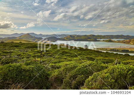 Green landscape in New Zealand Green landscape in New Zealand 104693104