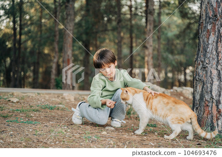 Elementary school kid petting feeding a stray cat in the city park. Child boy playing with abandoned homeless street cat in the forest 104693476
