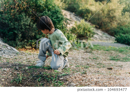 Caucasian school boy kid gathering firewood while hiking in the autumn city park. Child collecting wood to make bonfire while camping in the forest Caucasian school boy kid gathering firewood while hiking in the autumn city park. Child collecting wood to make bonfire while camping in the forest 104693477