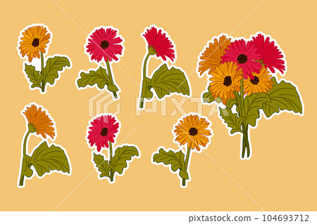 Sticker set of hand drawn blooming gerberas Sticker set of hand drawn blooming gerberas 104693712
