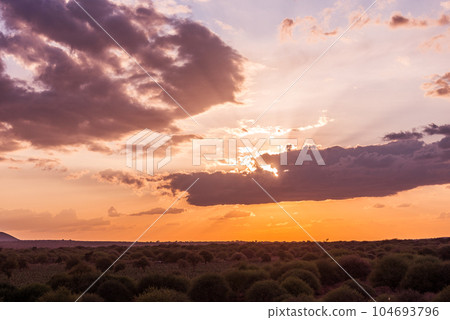 Mount Kilimanjaro is a dormant volcano located in Kilimanjaro Region of Tanzania. It has three volcanic cones: Kibo, Mawenzi, and Shira. It is the highest mountain in Africa and the highest single fre 104693796