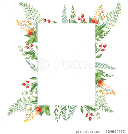 Watercolor forest frame with cloudberries, fern, green branches and red berries isolated on white background. Hand drawn botanical illustration. Can be used as invitation card, for birthday Watercolor forest frame with cloudberries, fern, green branches and red berries isolated on white background. Hand drawn botanical illustration. Can be used as invitation card, for birthday 104694652