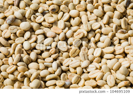 Coffee Beans Dried Coffee Beans Dried 104695109