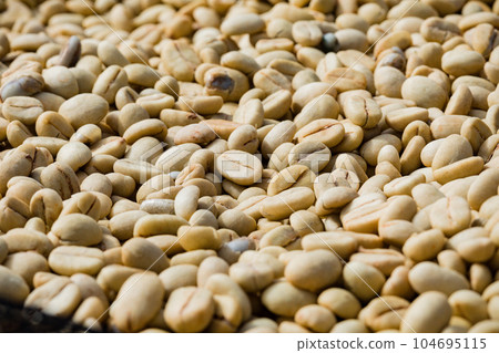 Coffee Beans Dried Coffee Beans Dried 104695115
