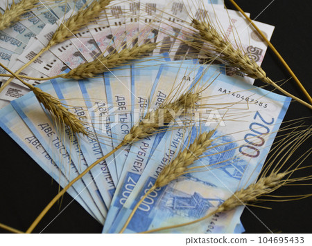 ears of wheat of black color on a fan of Russian rubles on a black background 104695433